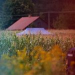Operacja pod fałszywą flagą? Wojsko twierdzi, że dron nie przełamał granicy – bo by go widziano.